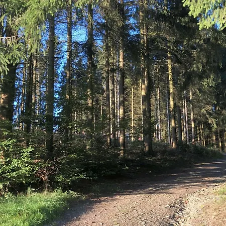 Familie Schauerte דירה