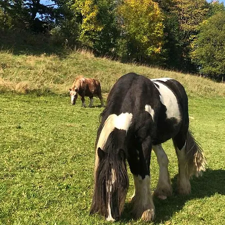 Familie Schauerte *