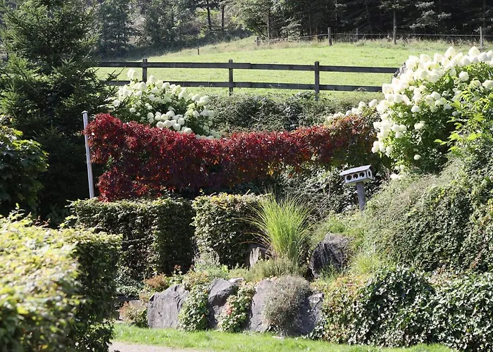 Familie Schauerte Daire *