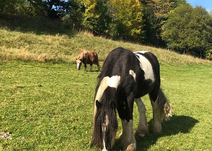 Familie Schauerte